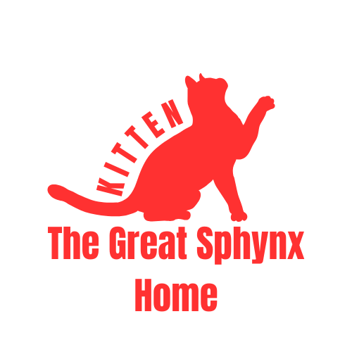 The Great Sphynx kitten Home